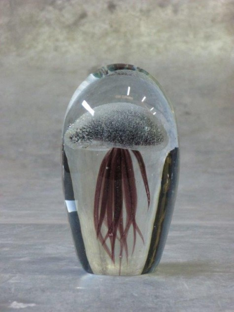 O4HOME + Jellyfish, paars M